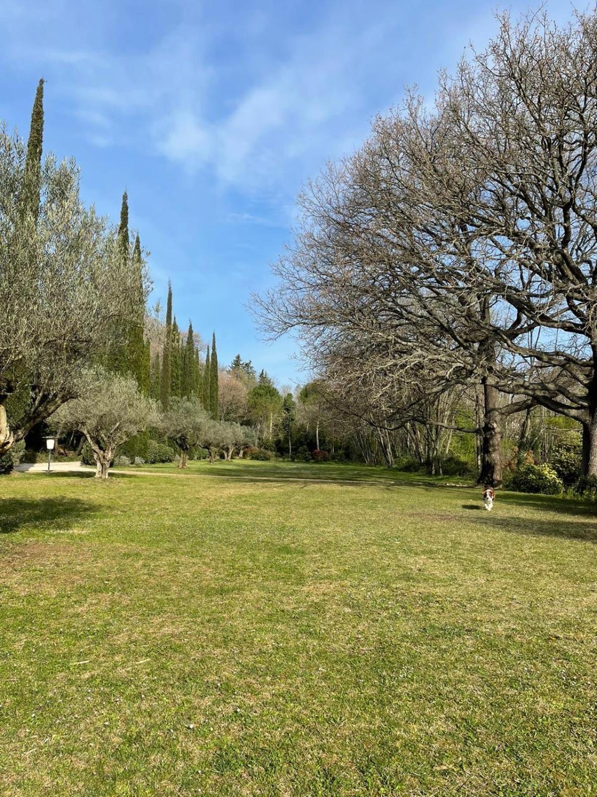 Le Moulin Haut Gites Villeneuvette المظهر الخارجي الصورة